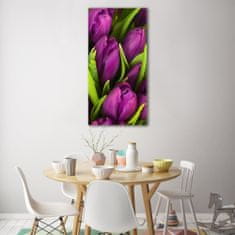 Wallmuralia Vertikální Fotoobraz na skle Fialové tulipány 50x100 cm 2 úchytky