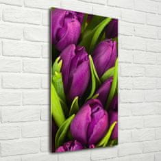 Wallmuralia Vertikální Fotoobraz na skle Fialové tulipány 50x100 cm 2 úchytky