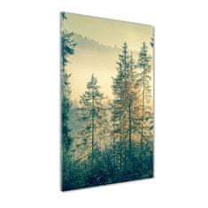 Wallmuralia Vertikální Foto obraz fotografie na skle Mlha nad lesem 50x125 cm 4 úchytky