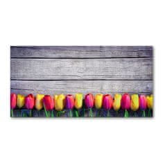 Wallmuralia Foto obraz skleněný horizontální Tulipány na stromě 125x50 cm 4 úchytky