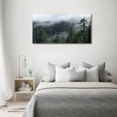 Wallmuralia Foto obraz fotografie na skle Lesní mlha 100x50 cm 4 úchytky