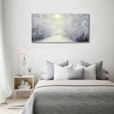 Wallmuralia Foto obraz fotografie na skle Hezký zimní les 100x50 cm 4 úchytky