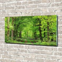 Wallmuralia Foto obraz skleněný horizontální Jarní les 140x70 cm 2 úchytky