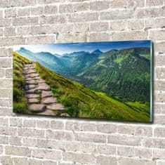 Wallmuralia Foto obraz skleněný horizontální Stezka v Tatrách 100x50 cm 2 úchytky