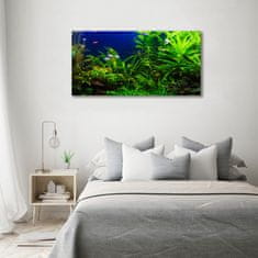 Wallmuralia Foto obraz skleněný horizontální Ryby v akvárium 100x50 cm 4 úchytky