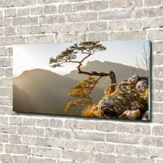 Wallmuralia Fotoobraz na skle Sokolice Pieniny 120x60 cm 4 úchytky