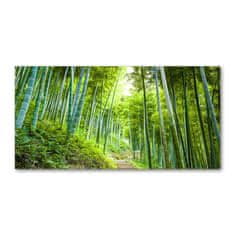 Wallmuralia Foto obraz skleněný horizontální Bambusový les 100x50 cm 4 úchytky