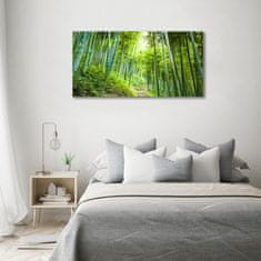 Wallmuralia Foto obraz skleněný horizontální Bambusový les 100x50 cm 4 úchytky