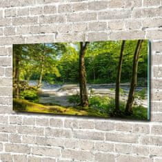 Wallmuralia Foto obraz skleněný horizontální Řeka v lese 120x60 cm 4 úchytky