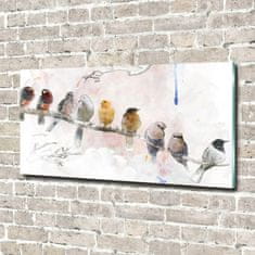 Wallmuralia Fotoobraz na skle Ptáci na větvi 140x70 cm 4 úchytky