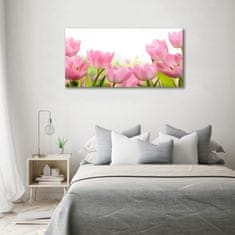 Wallmuralia Foto obraz skleněný horizontální Růžové tulipány 120x60 cm 2 úchytky