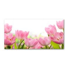 Wallmuralia Foto obraz skleněný horizontální Růžové tulipány 120x60 cm 2 úchytky