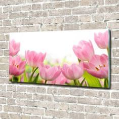 Wallmuralia Foto obraz skleněný horizontální Růžové tulipány 120x60 cm 2 úchytky