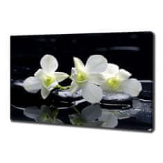 Wallmuralia Foto-obraz canvas do obýváku Orchidej 100x70 cm