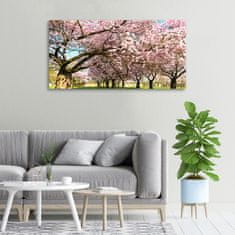 Wallmuralia Foto obraz canvas Višně 100x50 cm