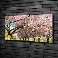 Wallmuralia Foto obraz canvas Višně 100x50 cm