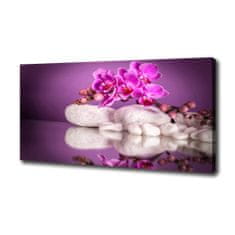 Wallmuralia Foto obraz canvas Růžová orchidej 120x60 cm