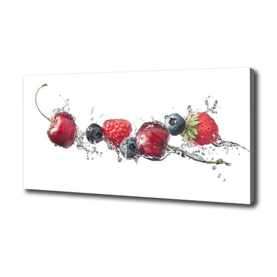 Wallmuralia Foto obraz canvas Lesní ovoce