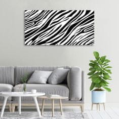 Wallmuralia Foto obraz canvas Zebra pozadí 100x50 cm