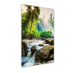 Wallmuralia Vertikální Foto obraz skleněný svislý Vodopád v lese 50x125 cm 4 úchytky