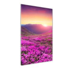 Wallmuralia Vertikální Foto obraz skleněný svislý Hory rododendrom 50x125 cm 4 úchytky