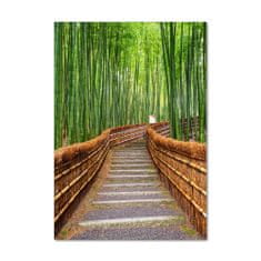 Wallmuralia Vertikální Foto obraz sklo tvrzené Bambusový les 70x100 cm 2 úchytky