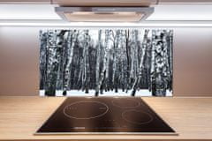 Wallmuralia Dekorační panel sklo Břízy zima 100x50 cm
