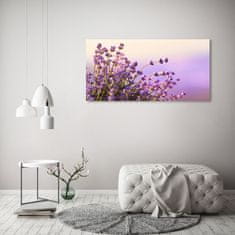 Wallmuralia Foto-obrah sklo tvrzené Levandule 125x50 cm 2 úchytky