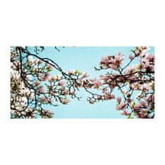 Wallmuralia Fotoobraz na skle Květiny magnolie 125x50 cm 2 úchytky