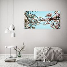 Wallmuralia Fotoobraz na skle Květiny magnolie 125x50 cm 2 úchytky