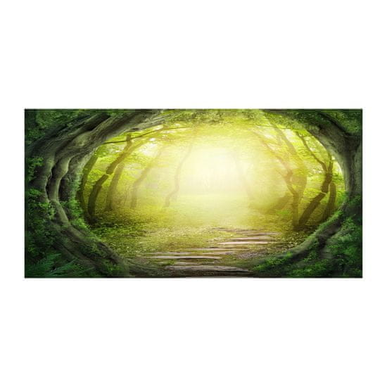 Wallmuralia Fotoobraz na skle Tunel ze stromů 2 úchytky