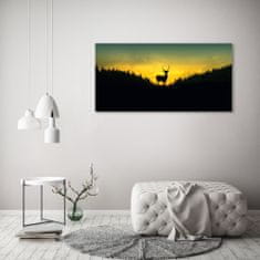 Wallmuralia Fotoobraz skleněný na stěnu do obýváku Jelen 125x50 cm 4 úchytky