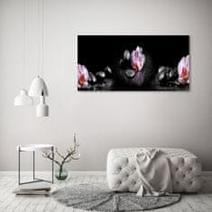 Wallmuralia Foto-obrah sklo tvrzené Orchidej 125x50 cm 4 úchytky