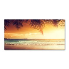 Wallmuralia Fotoobraz na skle Tropická pláž 100x50 cm 2 úchytky