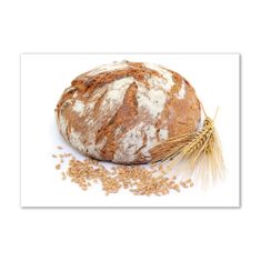 Wallmuralia Foto obraz skleněný horizontální Chléb a pšenice 100x70 cm 2 úchytky
