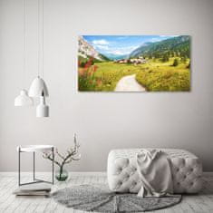 Wallmuralia Foto obraz skleněný horizontální Pastvina v Alpách 125x50 cm 4 úchytky