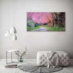Wallmuralia Fotoobraz na skle Květy višně 125x50 cm 4 úchytky