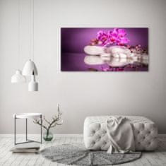 Wallmuralia Foto obraz canvas Růžová orchidej 120x60 cm