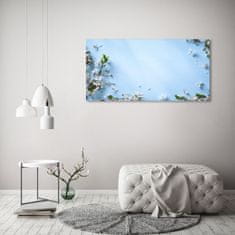 Wallmuralia Foto obraz fotografie na skle Květy višně pozadí 125x50 cm 4 úchytky