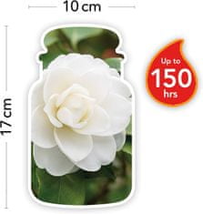 Yankee Candle vonná svíčka Classic ve skle velká Camellia Blossom 623 g