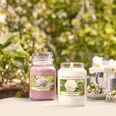 Yankee Candle vonná svíčka Classic ve skle velká Camellia Blossom 623 g