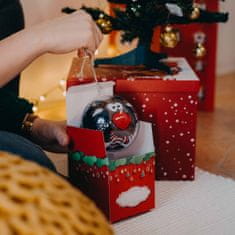 WiTSocks Veselé Ponožky Termo Rudy ve vánoční kouli + krabička, 39-42