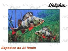 Delphin Rohožka - Okouni 3D