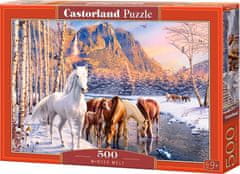 Castorland Puzzle Zimní tání 500 dílků