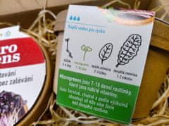 commshop Microgreens - kouzelná zahrádka, mikro bylinky - 2x semínka hořčice bílá