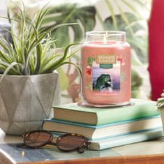 Yankee Candle vonná svíčka Classic ve skle velká Cliffside Sunrise 623 g