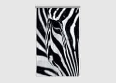 AG Design Designový závěs Zebra 140x245 cm , FCSL 7519