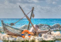 Blue Bird Puzzle Costa Maya