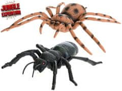 Jungle Expedition pavouk/mravenec 17-21 cm