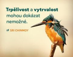 Magnet na lednici "Trpělivost a vytrvalost"